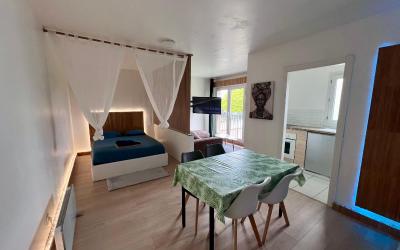 Appartement 1 Chambre