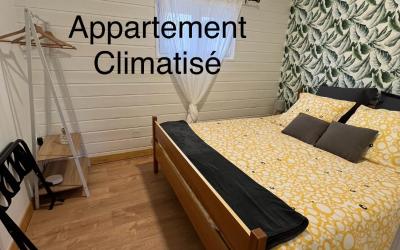 Appartement 1 Chambre