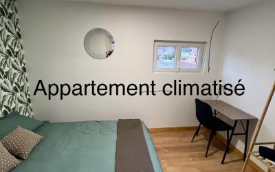 Appartement 1 Chambre