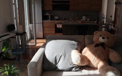 Appartement 1 Chambre