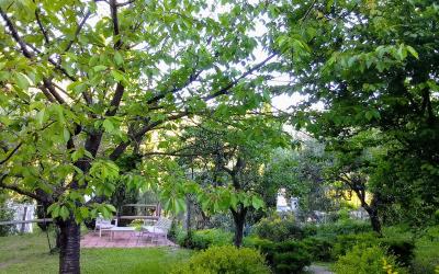 Camera Matrimoniale Superior