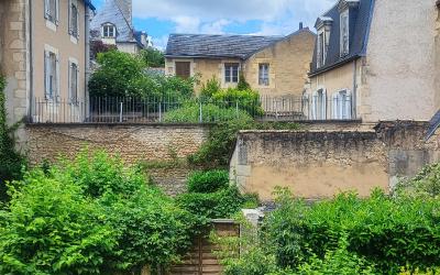 Appartement 1 Chambre Appartement 1 Chambre