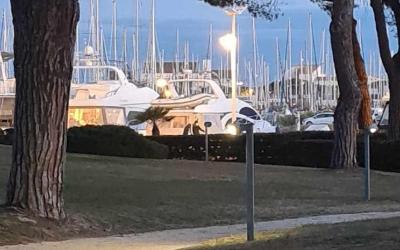 Appartement 1 Chambre Appartement 1 Chambre