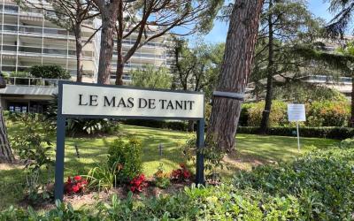 Appartement 1 Chambre