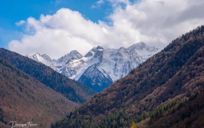 Appartement (4 Adultes)