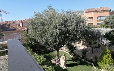 Appartement 1 Chambre