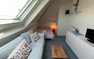 Appartement 1 Chambre Appartement 1 Chambre