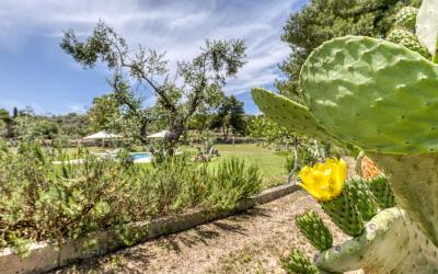 Camera King con Vista Piscina 