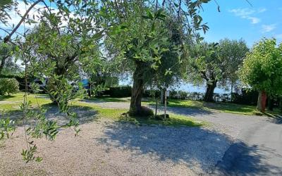 Empty lot (bring your own Caravan/Camper)