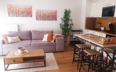 Appartement 1 Chambre