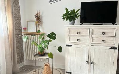 Appartement 1 Chambre