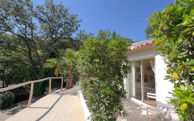 Chambre Quadruple avec Terrasse 