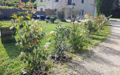 Appartement Supu00e9rieur 2 Chambres Appartement Supu00e9rieur 2 Chambres