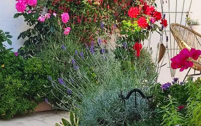 Appartement 1 Chambre Appartement 1 Chambre