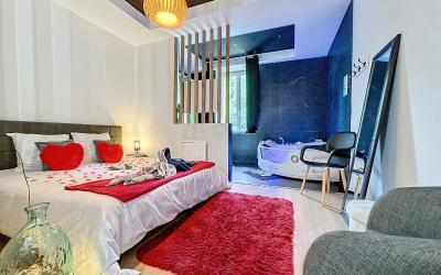 Appartement 1 Chambre