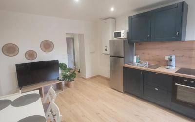 Appartement 1 Chambre