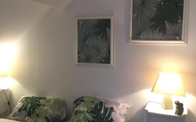 Appartement 1 Chambre