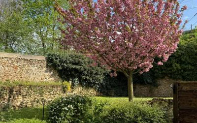 Appartement 2 Chambres avec Terrasse