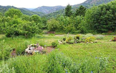 Chambre Double avec Terrasse Chambre Double avec Terrasse