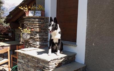 Camera Matrimoniale con Vista Lago