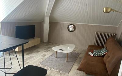 Appartement 1 Chambre