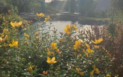 Appartamentino su 2 Livelli