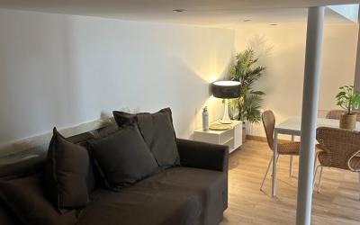 Appartement 1 Chambre