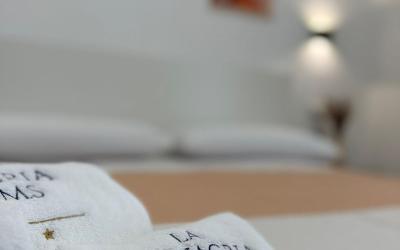 Camera Matrimoniale/Doppia con Letti Singoli con Balcone 