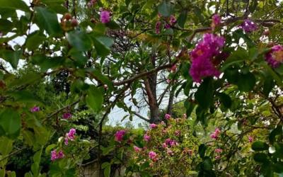 Villa 2 Chambresu00a0: