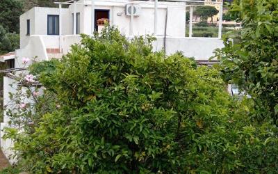 Appartamento con Terrazza