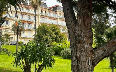 Appartement 1 Chambre