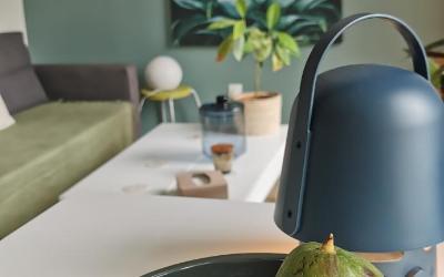 Appartement 1 Chambre Appartement 1 Chambre