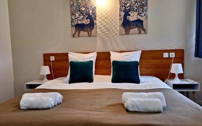 Chambre Lit King-Size - Accessible aux Personnes u00e0 Mobilitu00e9 Ru00e9duite