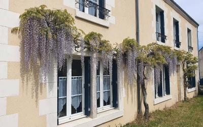 Petite Chambre Double Petite Chambre Double