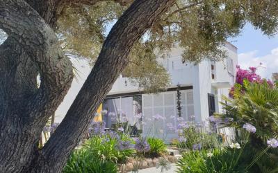Maison 3 Chambres 
