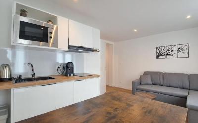 Appartement 1 Chambre