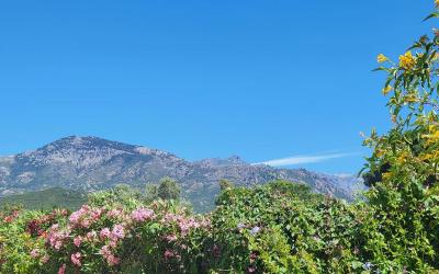 Chalet 2 Chambres Chalet 2 Chambres