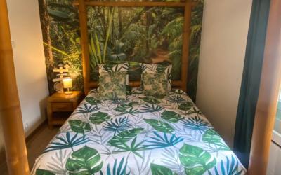 Appartement 1 Chambre