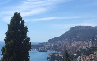 Appartement 1 Chambre Appartement 1 Chambre