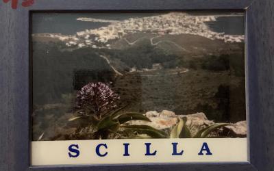 Camera Matrimoniale con Terrazza