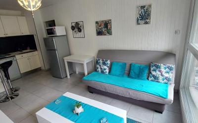 Appartement 1 Chambre