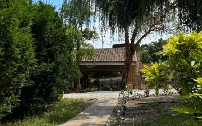 Suite - Vue sur Jardin Suite - Vue sur Jardin