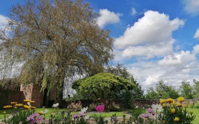 Chambre Triple - Vue sur Jardin