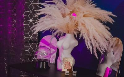 Appartement 1 Chambre Appartement 1 Chambre