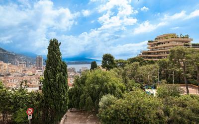 Appartement avec Terrasse