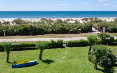 Appartement 1 Chambre