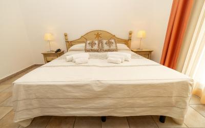 Camera Standard Matrimoniale/Doppia con Letti Singoli