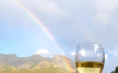 Appartement 1 Chambre Appartement 1 Chambre