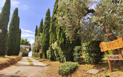 Camera Matrimoniale con Vista Parco