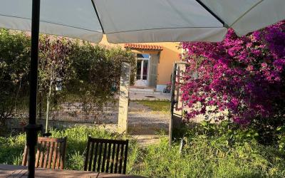 Appartement 1 Chambre Appartement 1 Chambre